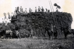 Soldaten des III. Batl. IV Thüring. Inf. Regt. 72 beim Heuernte in ländlicher Umgebung