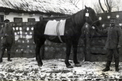 Soldaten des III. Bataillons IV Thüringer Infanterie-Regiment 72 präsentieren ein Pferd im Winter