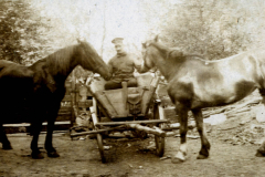 Soldat des III. Batl. IV Thüring. Inf. Regt. 72 mit Pferden in ländlicher Umgebung