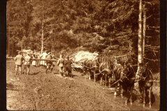 Zug 48 P.B. 11 transportiert Holz durch eine schlammige Waldstraße in der Berglandschaft
