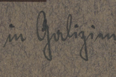 Heer S.M.W. Zug 48 P.B. 11 im Einsatz in Galizien im Jahr 1917