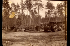 Militärlager mit Wagen in einem Waldgebiet, Heer S.M.W. Zug 48 P.B. 11