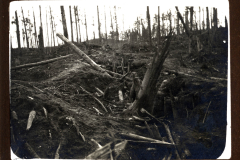 Zerschlagener Wald mit verwüstetem Boden und Baumstümpfen nach militärischen Aktivitäten in Heer, S.M.W. Zug 48 P.B. 11