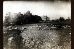 Einblick in die Landschaft bei Zug 48 P.B. 11, mit Steinen und Vegetation