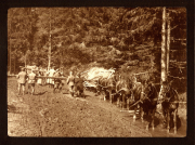 Zug 48 P.B. 11 transportiert Holz durch eine schlammige Waldstraße in der Berglandschaft