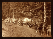 Zug 48 P.B. 11 transportiert Holz durch eine schlammige Waldstraße in der Berglandschaft