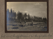 Arbeiter beim Holzfällen und Stapeln im Wald bei Rangelisch, Zug 48 P.B. 11