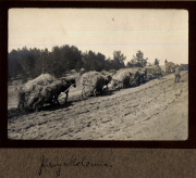 Arbeiter mit Pferden auf einem Feld in der Umgebung von Heer, S.M.W. Zug 48 P.B. 11
