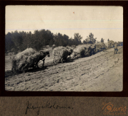 Arbeiter mit Pferden auf einem Feld in der Umgebung von Heer, S.M.W. Zug 48 P.B. 11