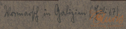 Heer S.M.W. Zug 48 P.B. 11 im Einsatz in Galizien im Jahr 1917