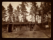 Bau einer Holzbaracke durch Heer, S.M.W. Zug 48 P.B. 11 im Waldgebiet