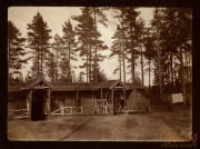 Bau einer Holzbaracke durch Heer, S.M.W. Zug 48 P.B. 11 im Waldgebiet
