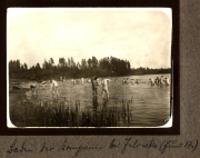 Gruppenschwimmen im Naturgewässer bei Lötzke im Jahr 1912