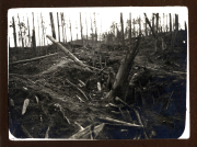 Zerschlagener Wald mit verwüstetem Boden und Baumstümpfen nach militärischen Aktivitäten in Heer, S.M.W. Zug 48 P.B. 11