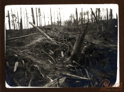 Zerschlagener Wald mit verwüstetem Boden und Baumstümpfen nach militärischen Aktivitäten in Heer, S.M.W. Zug 48 P.B. 11