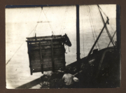 Hochheben eines Frachtcontainers durch den Heer, S.M.W. Zug 48 P.B. 11 im Hafen während des frühen 20. Jahrhunderts