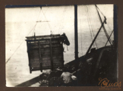 Hochheben eines Frachtcontainers durch den Heer, S.M.W. Zug 48 P.B. 11 im Hafen während des frühen 20. Jahrhunderts