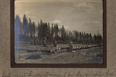 Arbeiter beim Holzfällen und Stapeln im Wald bei Rangelisch, Zug 48 P.B. 11