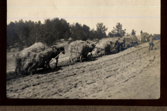 Arbeiter mit Pferden auf einem Feld in der Umgebung von Heer, S.M.W. Zug 48 P.B. 11