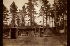 Bau einer Holzbaracke durch Heer, S.M.W. Zug 48 P.B. 11 im Waldgebiet