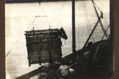 Hochheben eines Frachtcontainers durch den Heer, S.M.W. Zug 48 P.B. 11 im Hafen während des frühen 20. Jahrhunderts