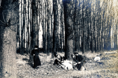 Deutsche Soldaten beim Baumfällen im Wald während des Ersten Weltkriegs