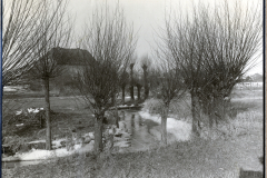 ?berschwemmte Landschaft mit Kopfweiden im Winter bei Amagne-Lucquy