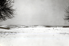 Winterlandschaft mit schneebedeckten Feldern und kahlen B?umen im Ersten Weltkrieg