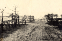 Zerstörte Landschaft mit Straße und entlaubten Bäumen in Frankreich