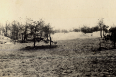 Verwüstete Landschaft mit Erdhügeln und zerstörten Bäumen in Frankreich