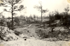 Zerstörte Waldlandschaft mit Granattrichtern und kahlen Baumstümpfen an der Westfront
