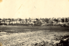 Verwüstete Landschaft mit zerstörten Bäumen und Kratern im Ersten Weltkrieg