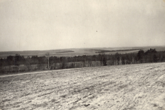 Landschaftsaufnahme eines Ackerfeldes mit Waldgebiet im Hintergrund, Frankreich