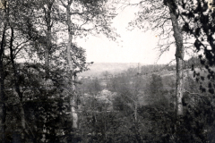 Waldlandschaft mit Blick ins Tal während des Ersten Weltkriegs in Frankreich