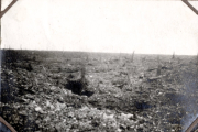 Zerstörte Schlachtfeldlandschaft mit Granattrichtern und Stacheldraht in Frankreich