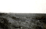 Verwüstete Schlachtfeldlandschaft mit Granattrichtern und Baumstümpfen in Frankreich