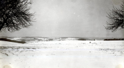 Winterlandschaft mit schneebedeckten Feldern und kahlen Bäumen im Ersten Weltkrieg