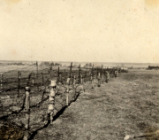 Soldatenfriedhof mit Holzkreuzen und Stacheldraht an der Westfront