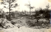 Zerstörte Waldlandschaft mit Granattrichtern und kahlen Baumstümpfen an der Westfront