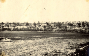 Verwüstete Landschaft mit zerstörten Bäumen und Kratern im Ersten Weltkrieg