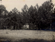 Deutsche Soldaten vor Waldrand in Frankreich, Infanterie-Regiment 53