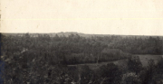 Waldlandschaft in Frankreich während des Ersten Weltkriegs