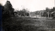 Zerstörte Siedlung mit Holzpfosten und Trümmern in bewaldeter Landschaft, Frankreich