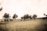 Feldlager des Infanterie-Regiments 53 in französischer Landschaft