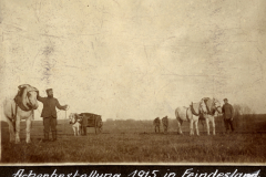Ackerbestellung 1915 in Feindesland - Deutsche Soldaten mit Pferden bei der Feldarbeit