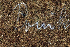 Handschriftliche Notiz auf verwitterter Albumseite aus dem Ersten Weltkrieg