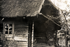 Gribel - Russisches Bauernhaus mit Strohdach im Ersten Weltkrieg