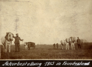 Ackerbestellung 1915 in Feindesland - Deutsche Soldaten mit Pferden bei der Feldarbeit
