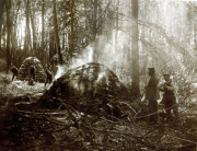 Deutsche Soldaten beim Bau eines Erdbunkers im Wald während des Ersten Weltkriegs