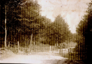 Straßensperre mit Holzpfosten und Drahtverhauen an einer Waldstraße im Ersten Weltkrieg